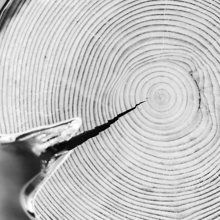 La Sainthilarienne לינה וארוחת בוקר 3*